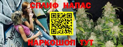 МДПВ Обнинск