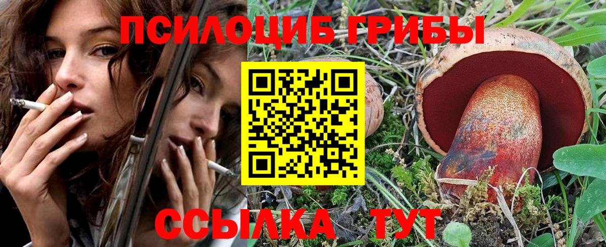 Галлюциногенные грибы Cubensis Тобольск